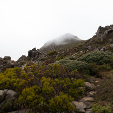 Hartz Mountains, Tasmania, 2018