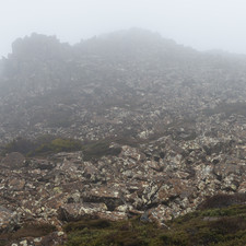 Hartz Mountains, Tasmania, 2018