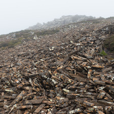 Hartz Mountains, Tasmania, 2018