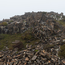 Hartz Mountains, Tasmania, 2018