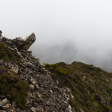 Hartz Mountains, Tasmania, 2018