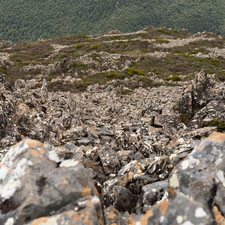 Hartz Mountains, Tasmania, 2018