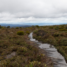 Hartz Mountains, Tasmania, 2018