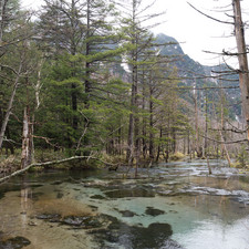 Dakesawa Marsh (????), Kamik?chi, 2019