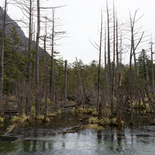 Dakesawa Marsh (????), Kamik?chi, 2019