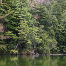 My?jin-ike (???), Kamik?chi, 2019