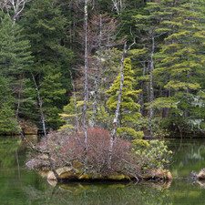 My?jin-ike (???), Kamik?chi, 2019