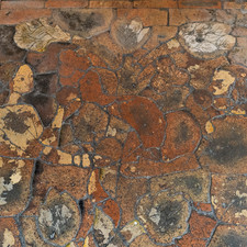 Prior Crauden's Chapel, Ely Cathedral, 2025