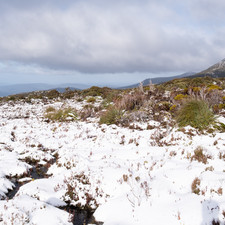 Hartz Mountains NP, 2025