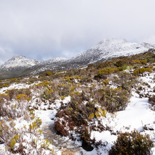 Hartz Mountains NP, 2025