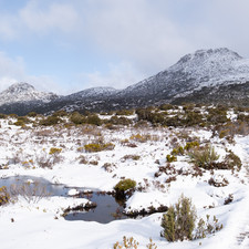 Hartz Mountains NP, 2025