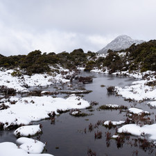 Hartz Mountains NP, 2025