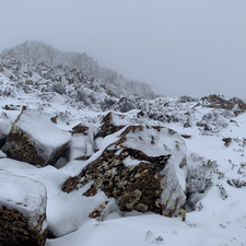 Hartz Mountains NP, 2025