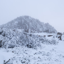 Hartz Mountains NP, 2025