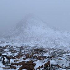 Hartz Mountains NP, 2025